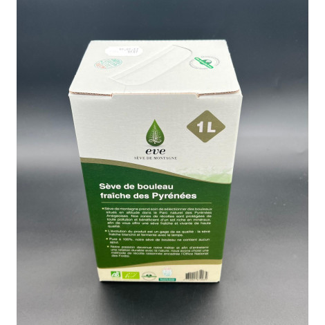 Sève de bouleau lactofermentée