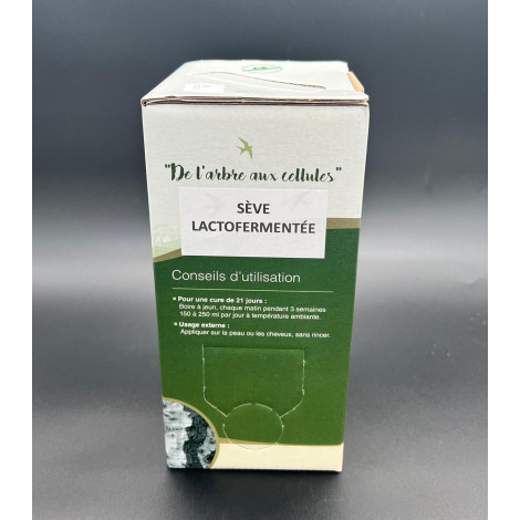 Sève de bouleau lactofermentée