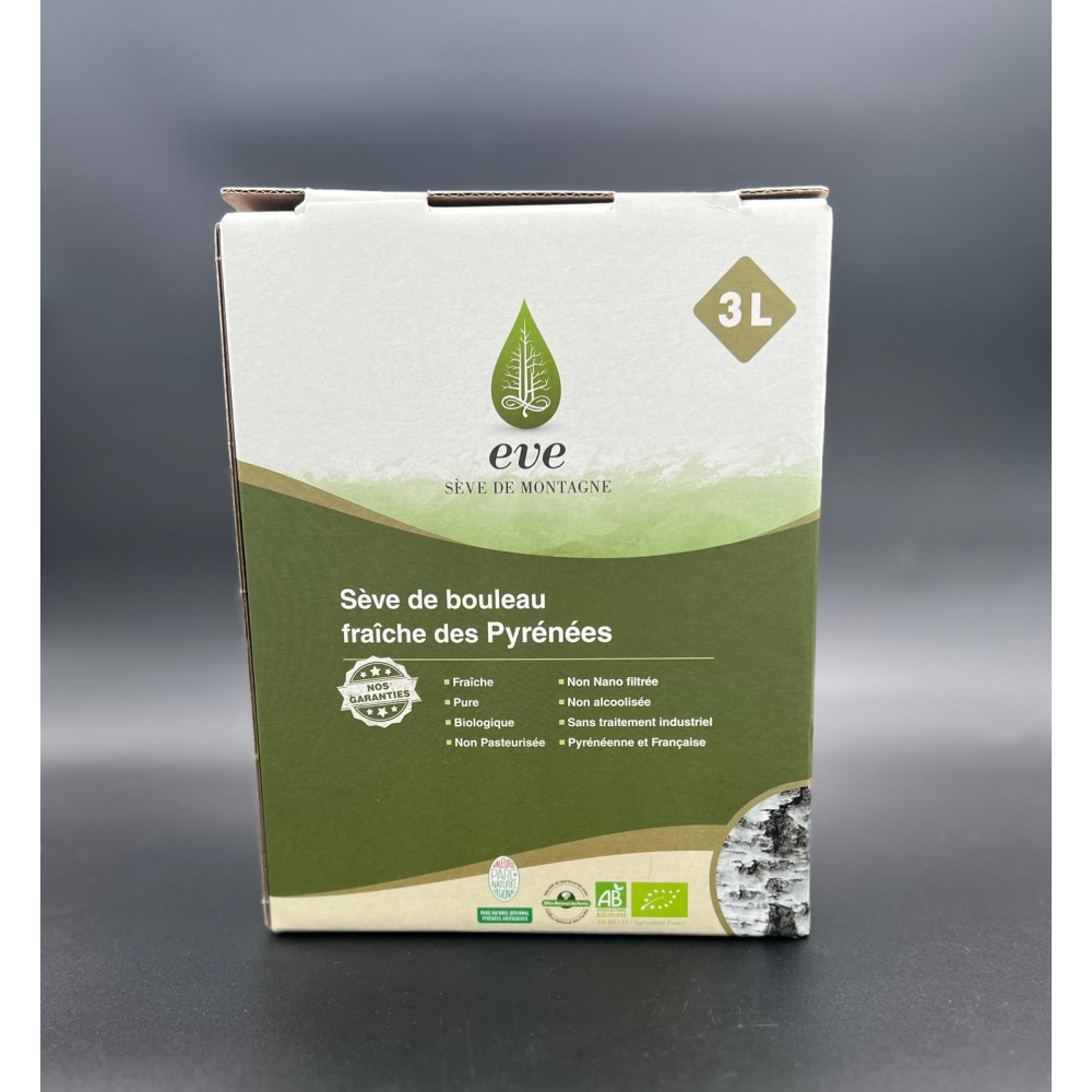 Sève de bouleau lactofermentée