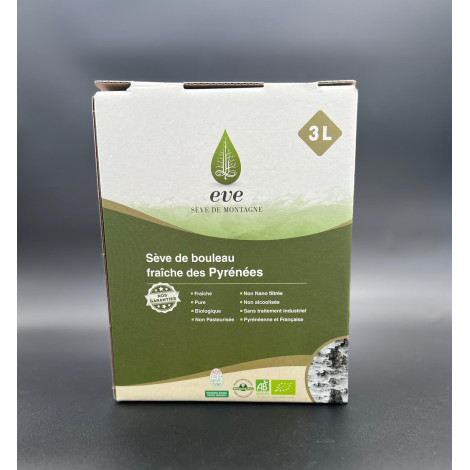 Sève de bouleau lactofermentée