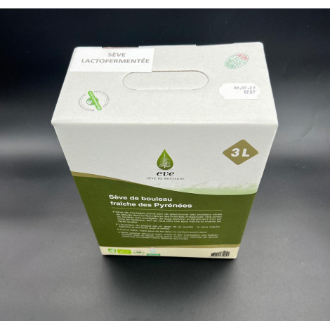 Sève de bouleau lactofermentée