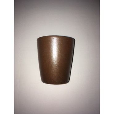 Synbiovie, micro-organismes pour le traitement des maisons