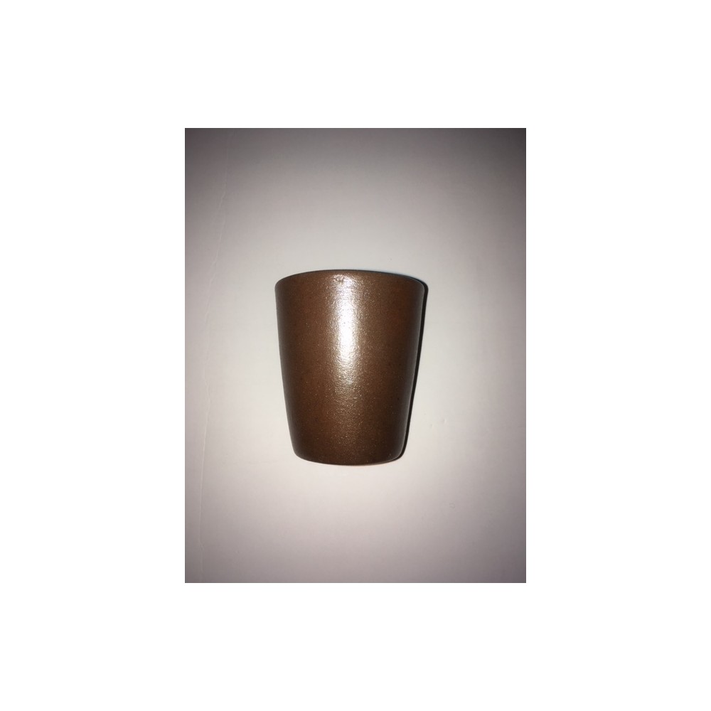 Synbiovie, micro-organismes pour le traitement des maisons