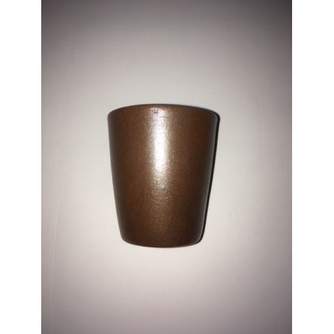 Synbiovie, micro-organismes pour le traitement des maisons