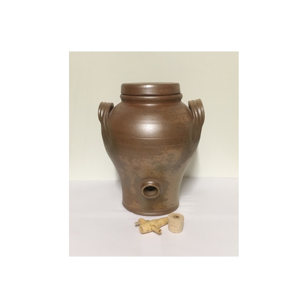 Synbiovie, micro-organismes pour le traitement des maisons