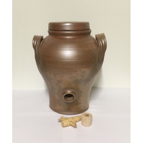 Synbiovie, micro-organismes pour le traitement des maisons